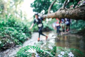 BIB: 
                            <button type="button" onclick="openModal(25464493)" class="btn btn-primary btn-sm float-right btn-popup" data-toggle="modal" data-target=".modal-high-quality">
                        <i class="fas fa-shopping-cart"></i> Add to Cart
                    </button>
                                            <button type="button" onclick="isThisMe(25464493, true)" class="btn btn-success btn-sm float-right btn-popup btn-isme hidden" data-toggle="tooltip" data-placement="bottom" title="นี่คือรูปของคุณใช่ไหม คลิกที่นี่เพื่อเอาเข้าอัลบั้ม">
                        <i class="fas fa-plus"></i> Add to album
                    </button>
                    <button type="button" onclick="isThisMe(25464493, false)" class="btn btn-warning btn-sm float-right btn-popup btn-isnotme hidden">
                        <i class="fas fa-ban"></i> Remove from album
                    </button>